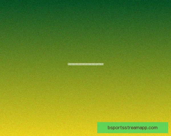 B体育平台体验全面解析，教你如何高效使用和享受服务